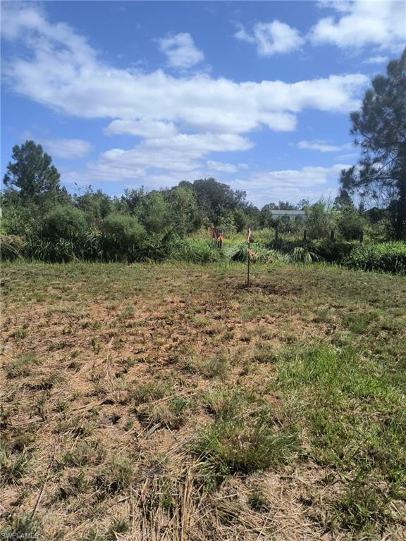 1711 Comanche Trl Property Photo 10