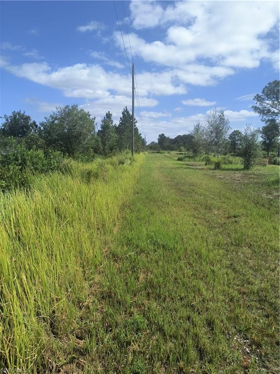 1711 Comanche Trl Property Photo 12