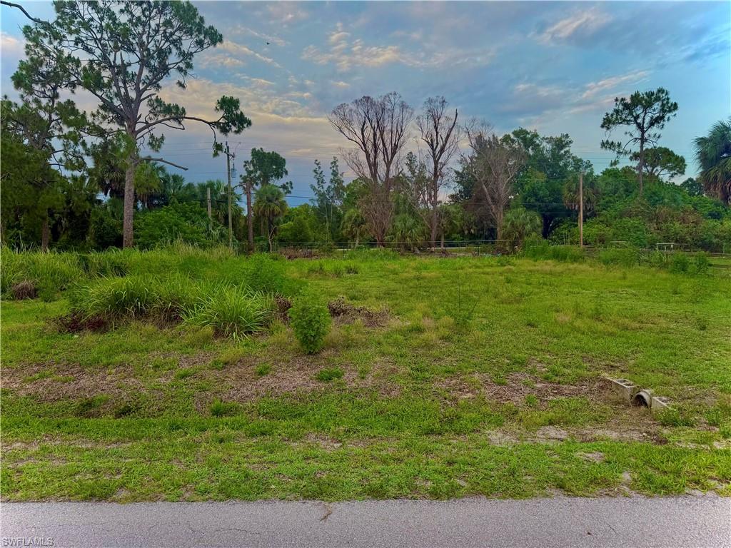 8259 Marx Dr Property Photo 1