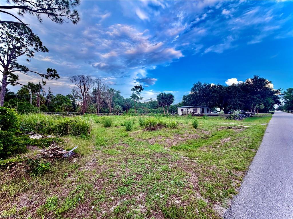 8259 Marx Dr Property Photo 2