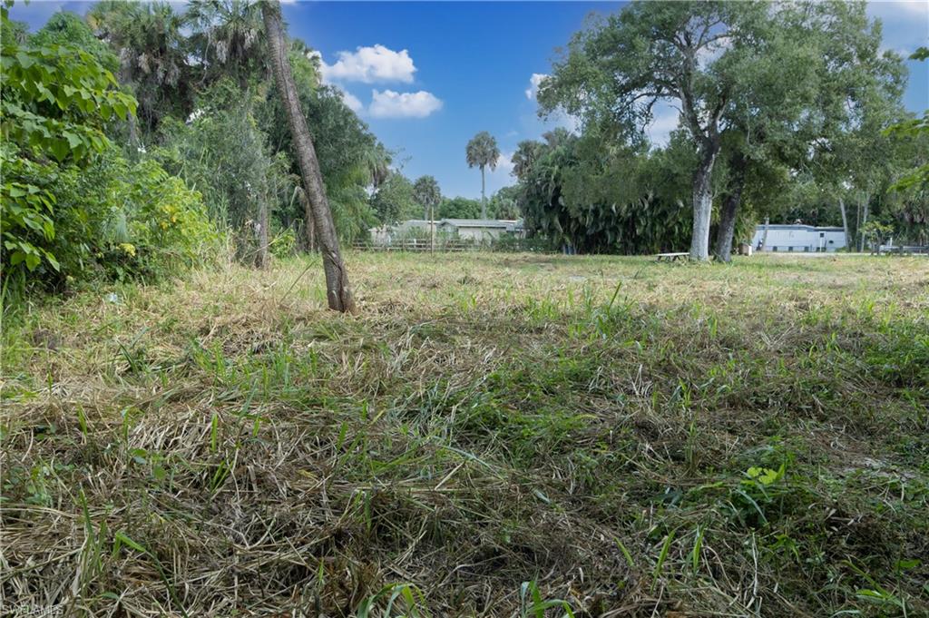 8581 Ortiz Cir Property Photo 9