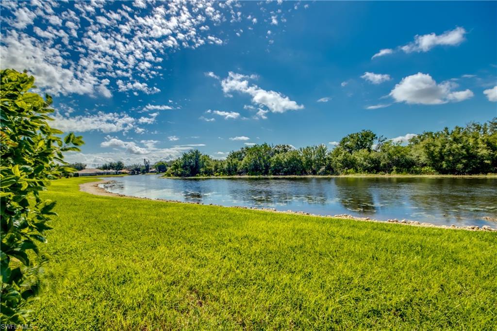 12730 Devonshire Lakes Cir Property Photo 46
