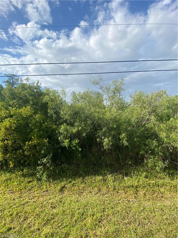3894 Mango St Property Photo 2