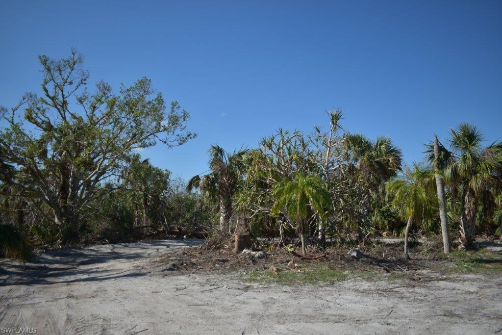 223001682 Property Photo 1