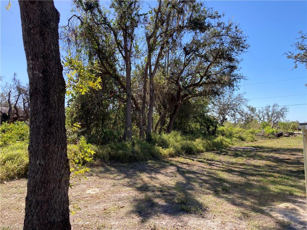 30445 Holly Rd Property Photo 8