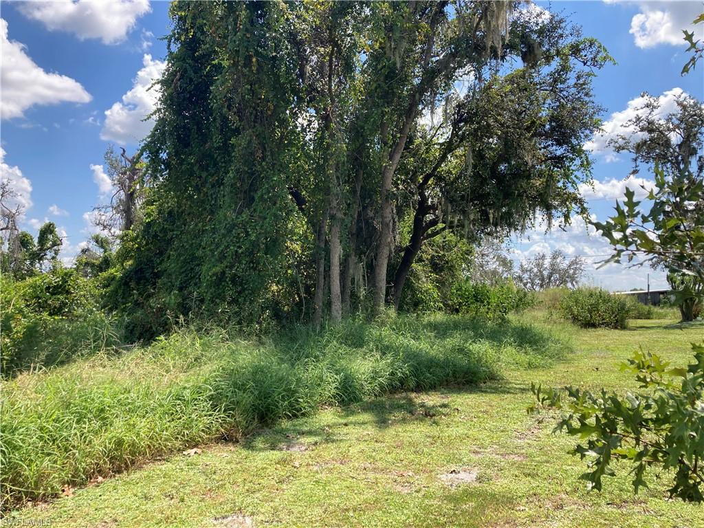 30445 Holly Rd Property Photo 14