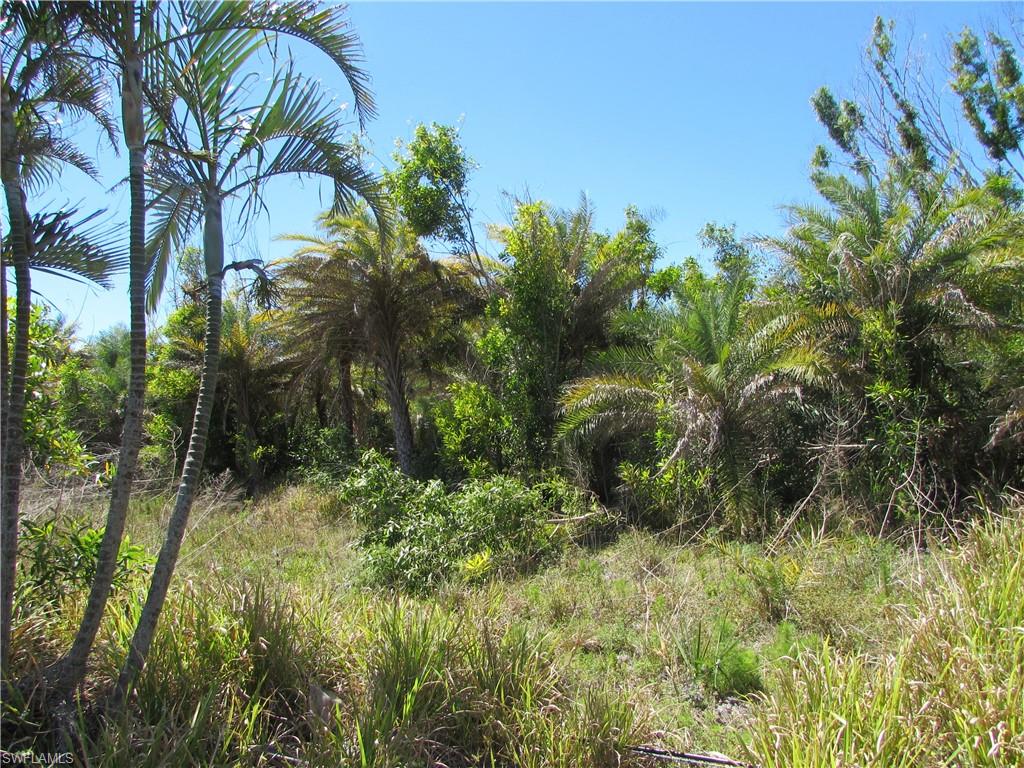 Samadani Ln Property Photo 3