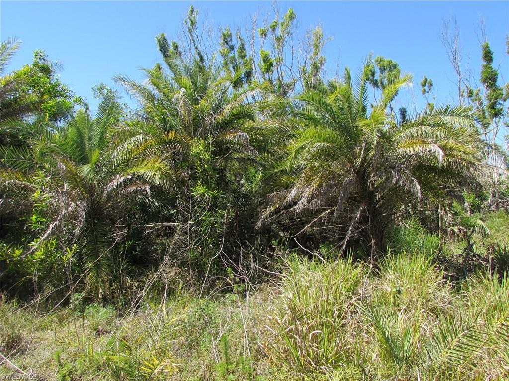 Samadani Ln Property Photo 4