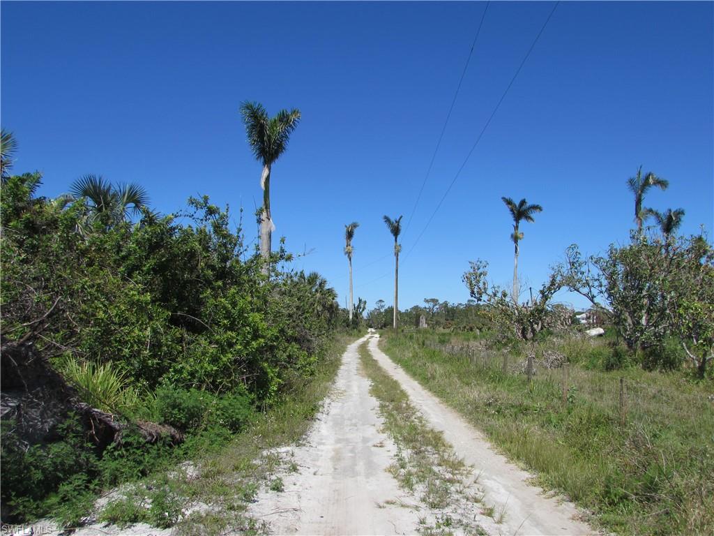 Samadani Ln Property Photo 6