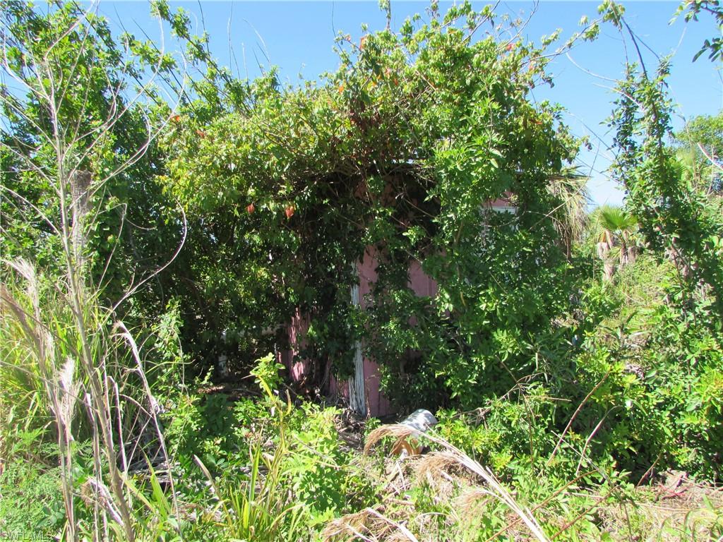 Samadani Ln Property Photo 7