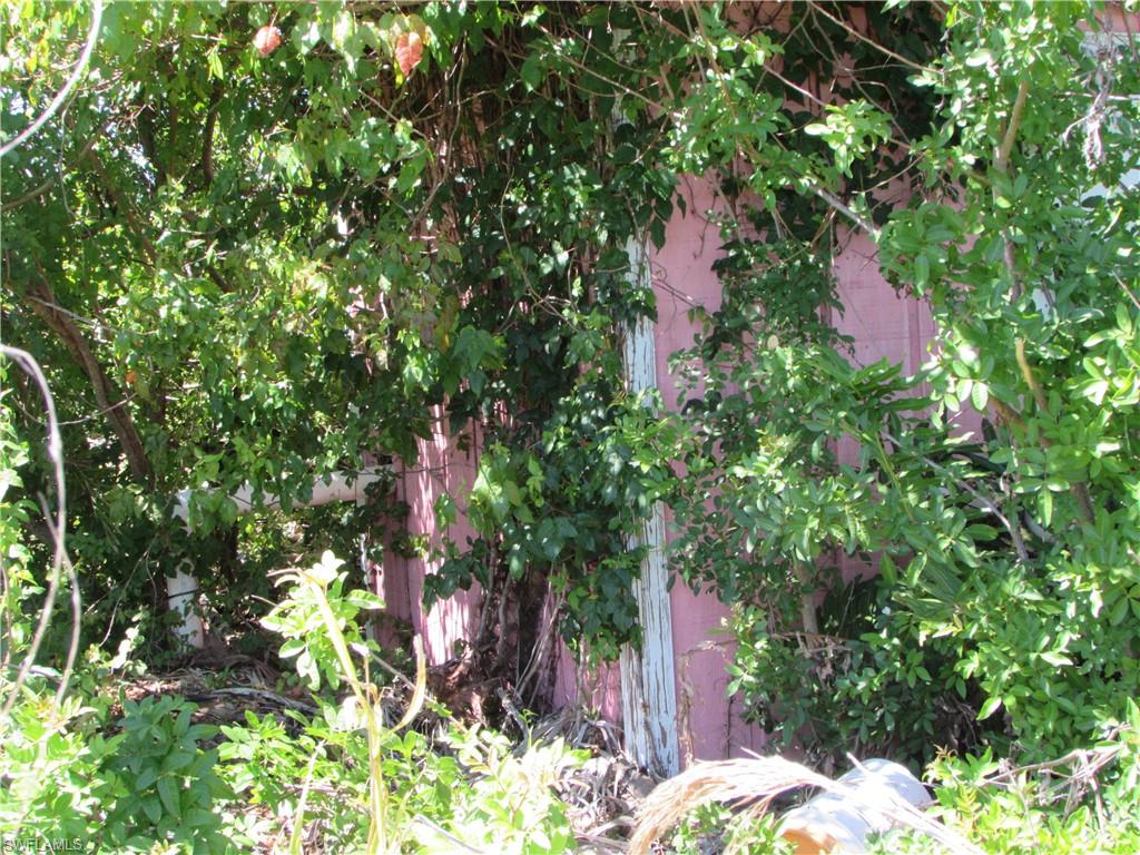 Samadani Ln Property Photo 8