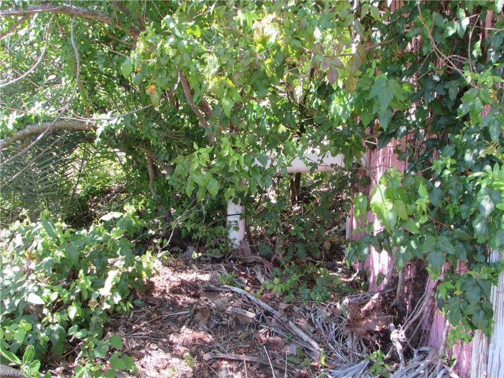 Samadani Ln Property Photo 9