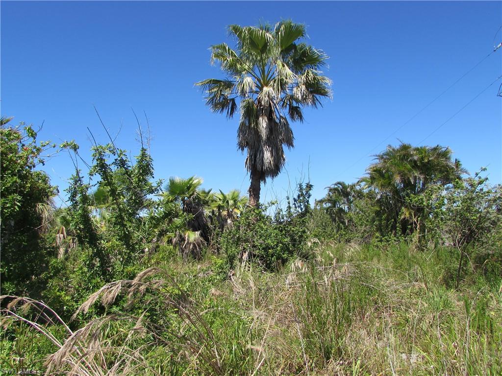 Samadani Ln Property Photo 10