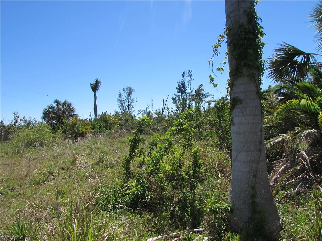 Samadani Ln Property Photo 11