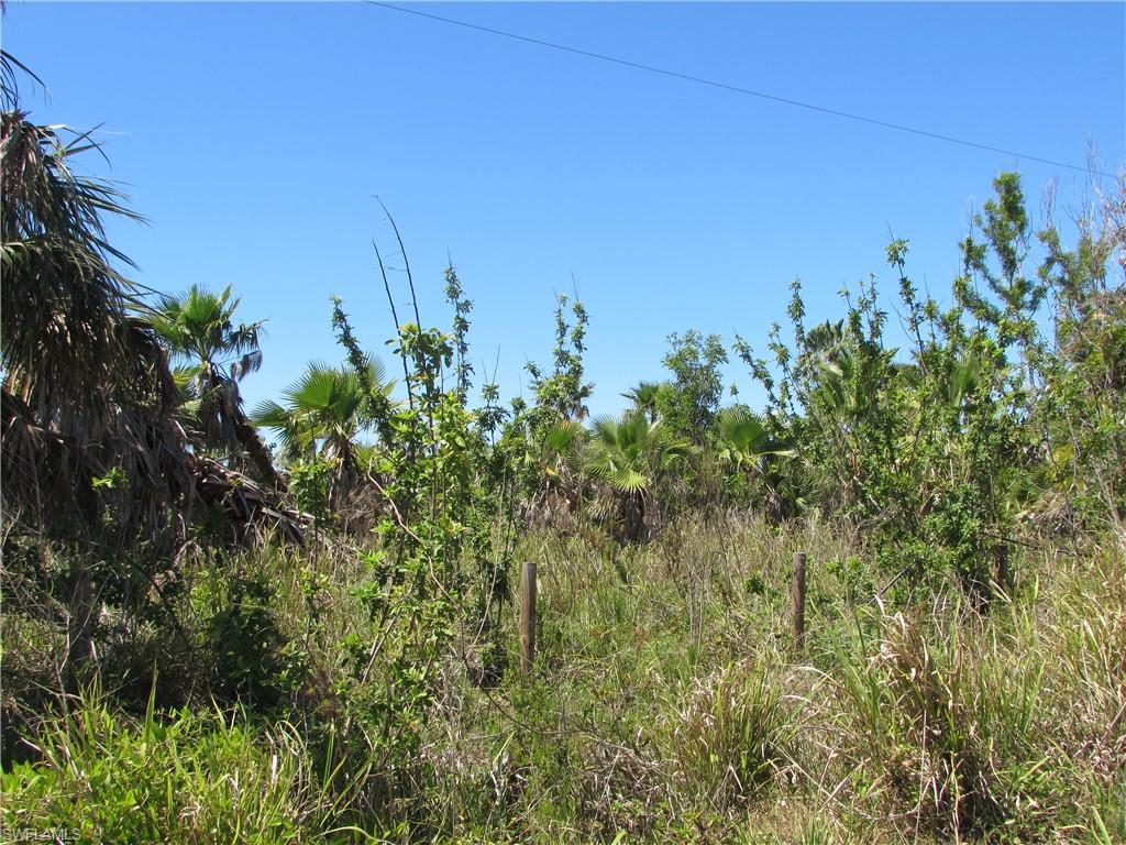 Samadani Ln Property Photo 14