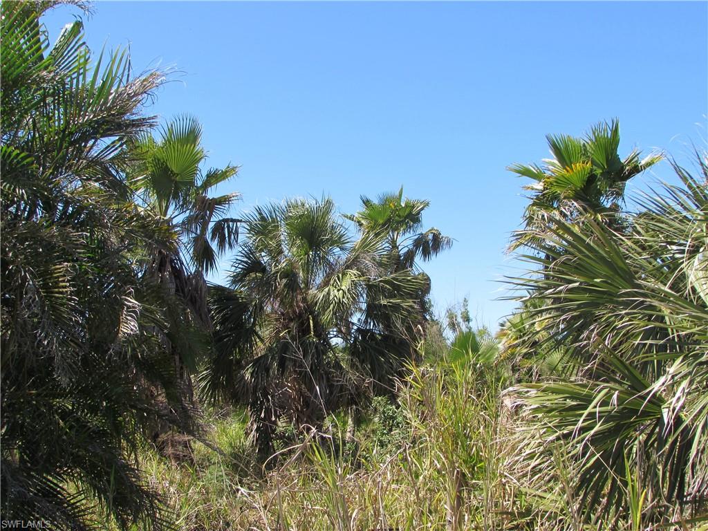 Samadani Ln Property Photo 15
