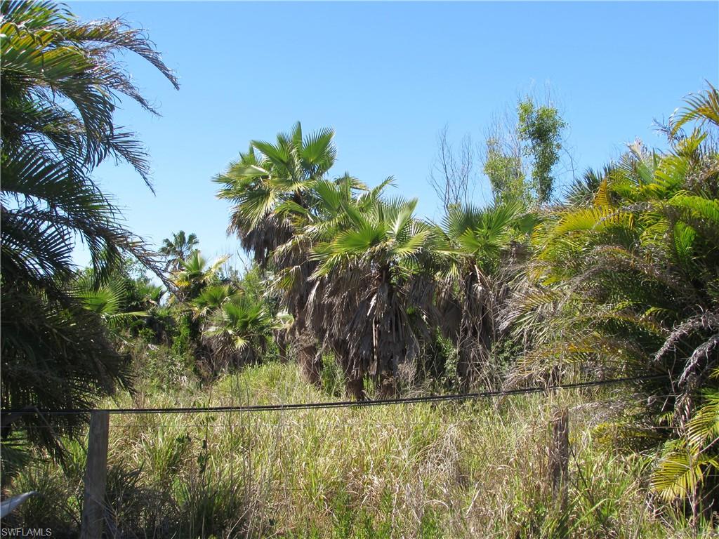 Samadani Ln Property Photo 16