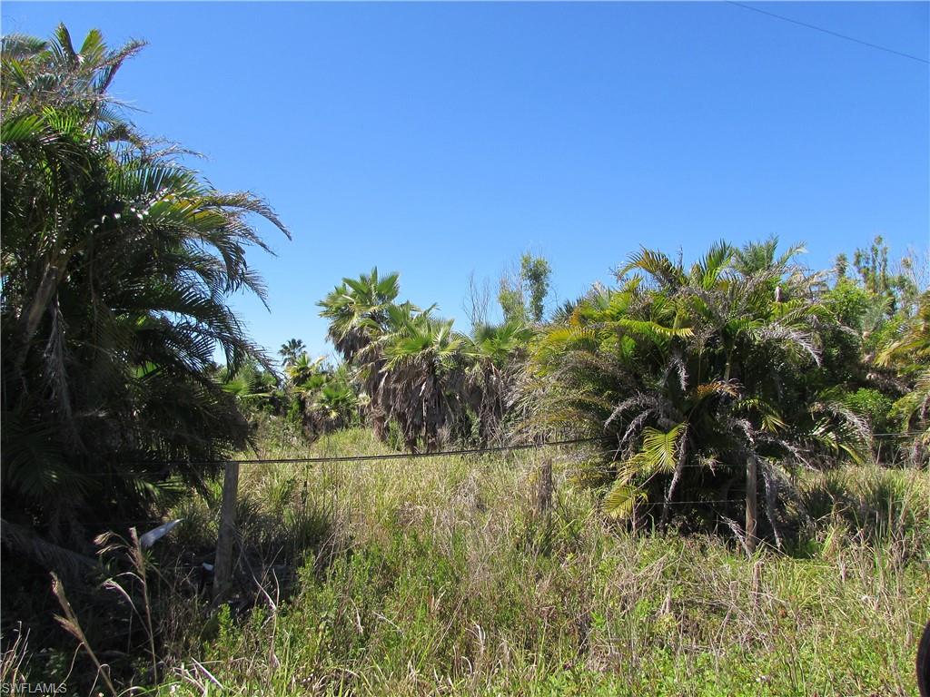 Samadani Ln Property Photo 17