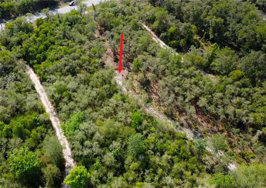 8115 Shasta St Property Photo 7