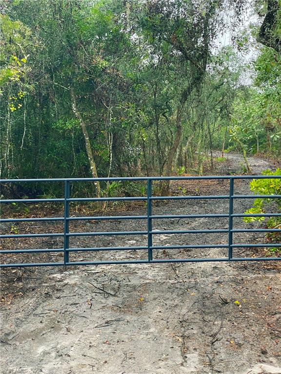 8115 Shasta St Property Photo 10