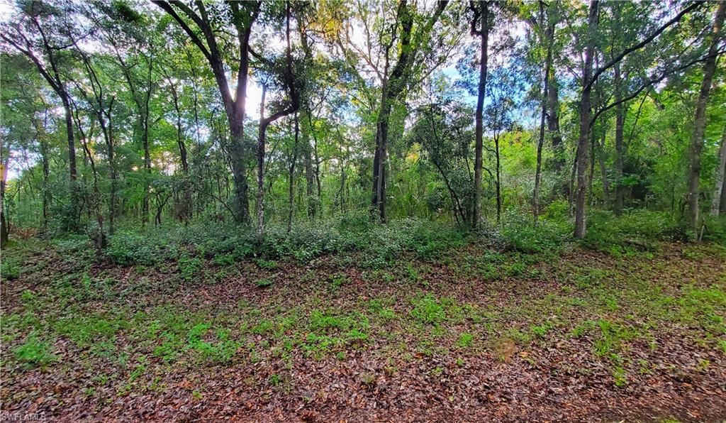 7153 Kenyon Dr Property Photo 3