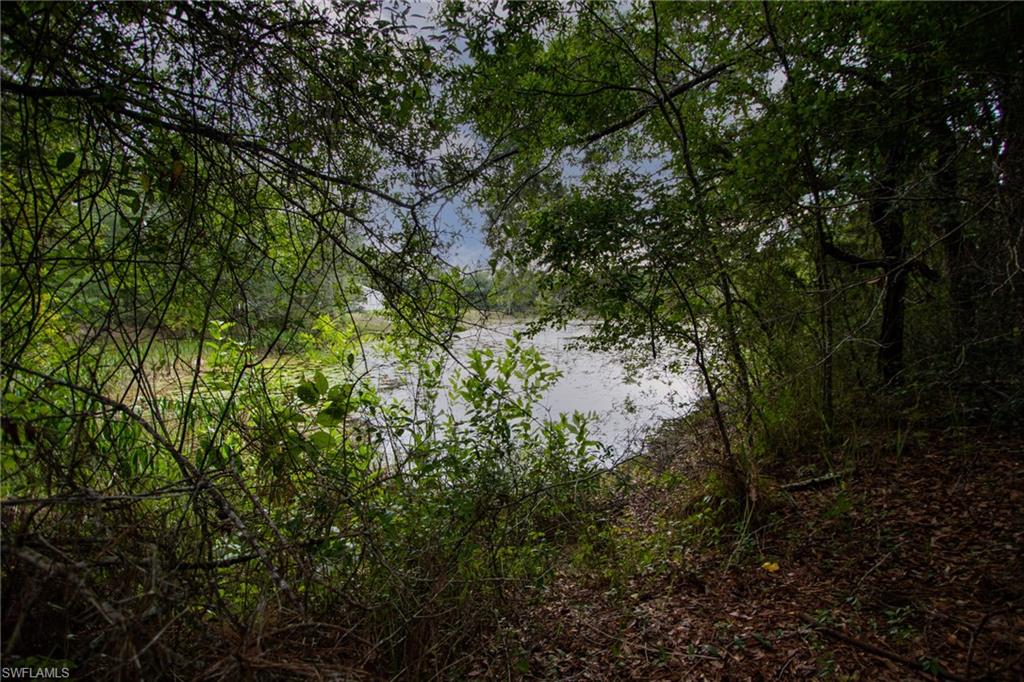 34132 August Ave Property Photo 5