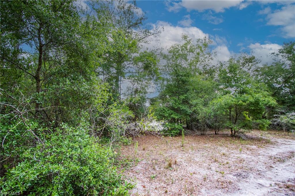 34132 August Ave Property Photo 7