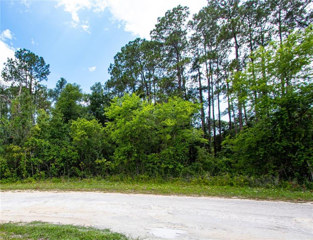 34160 Haas Dr Property Photo 1