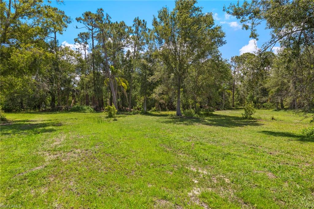 13100 Pinto Ln Property Photo 6