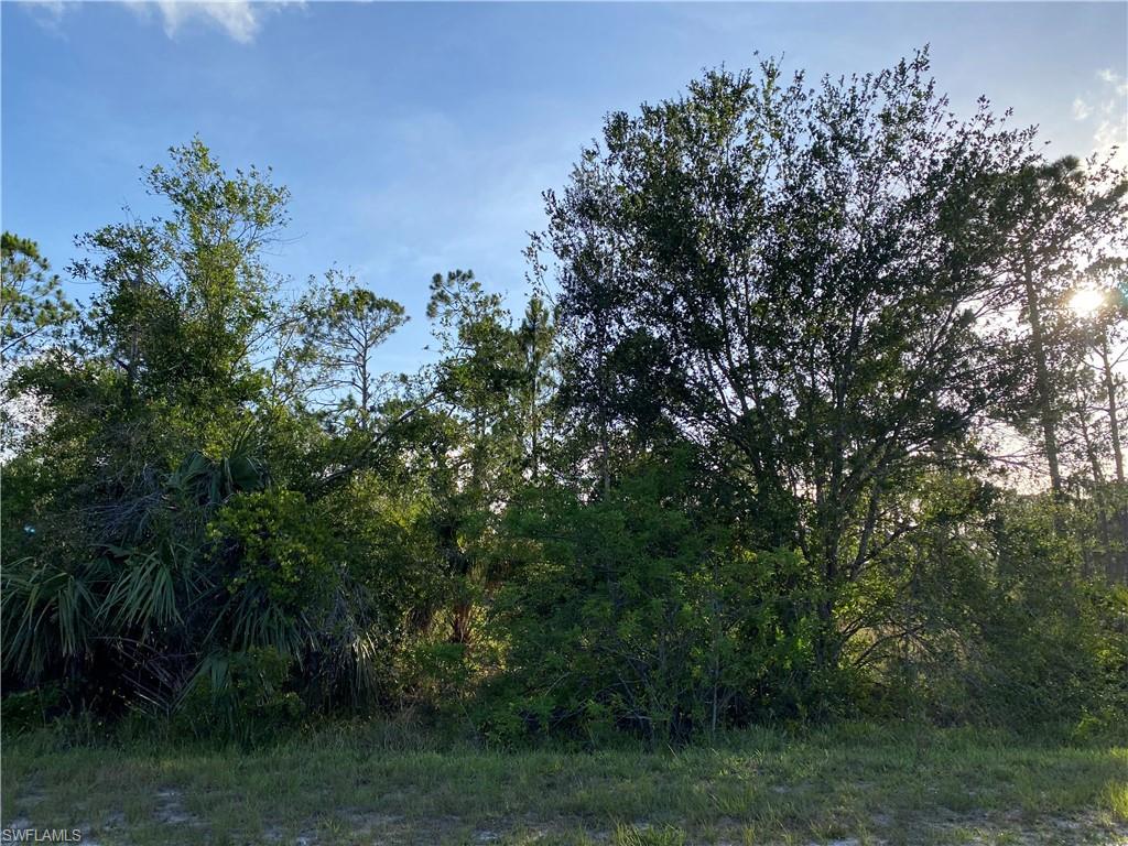 13635 Carousel Dr Property Photo 2