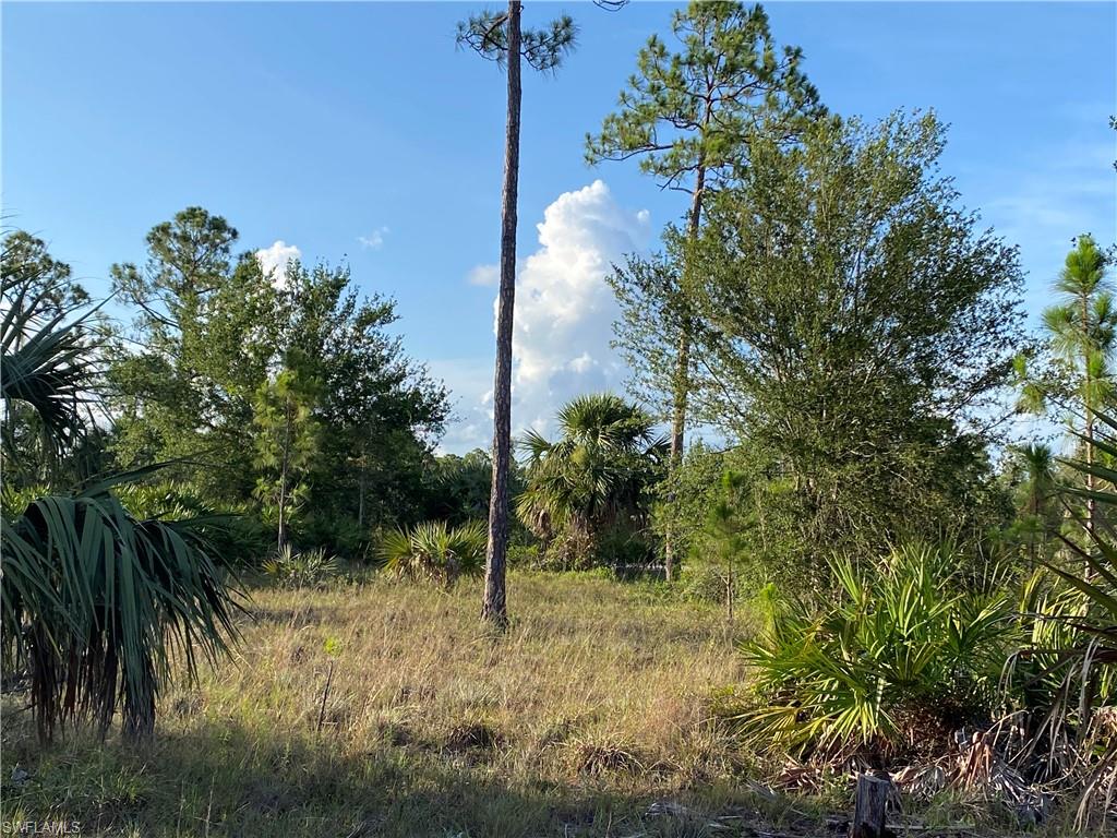 13635 Carousel Dr Property Photo 3
