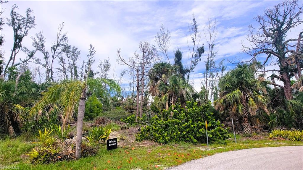 3940 Stabile Rd Property Photo 4