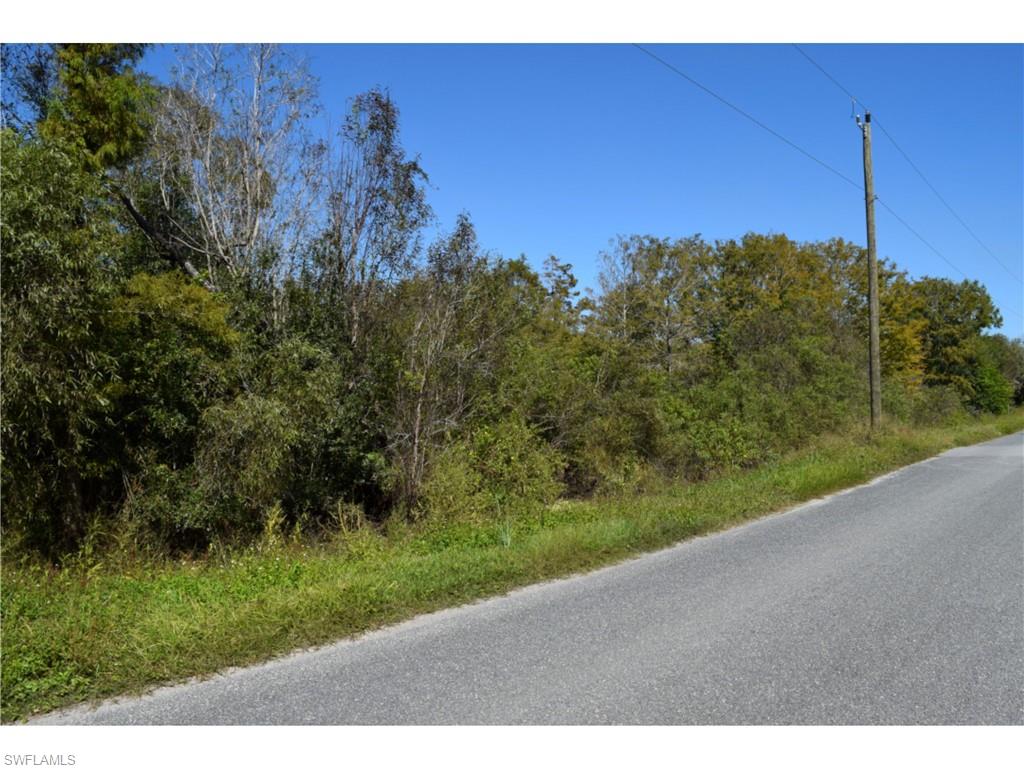Jacks Branch Rd Property Photo 5
