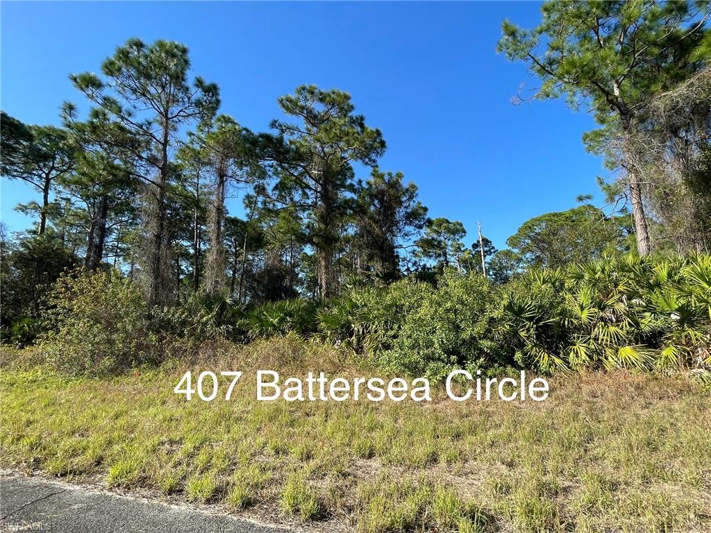 407 Battersea Cir Property Photo 1