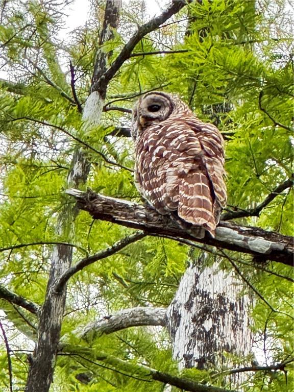 10581 Ben C Pratt/6 Mile Cypress Pkwy Property Photo 4