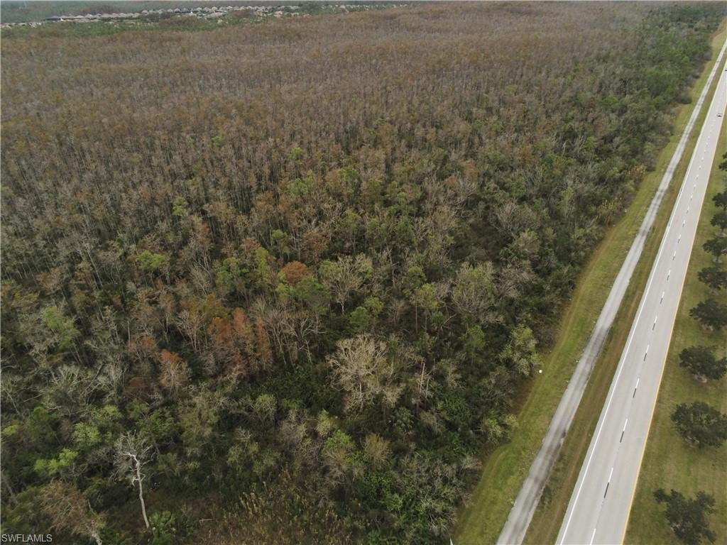 10581 Ben C Pratt/6 Mile Cypress Pkwy Property Photo 10