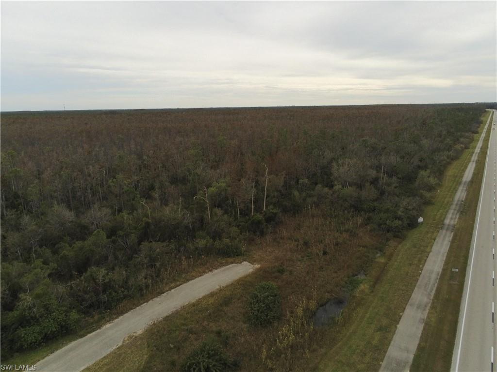 10581 Ben C Pratt/6 Mile Cypress Pkwy Property Photo 11