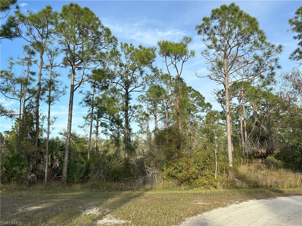 12135 Ludden Ct Property Photo 8