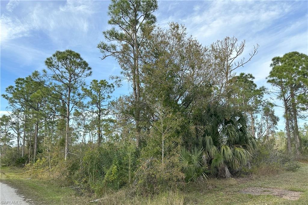 12135 Ludden Ct Property Photo 9