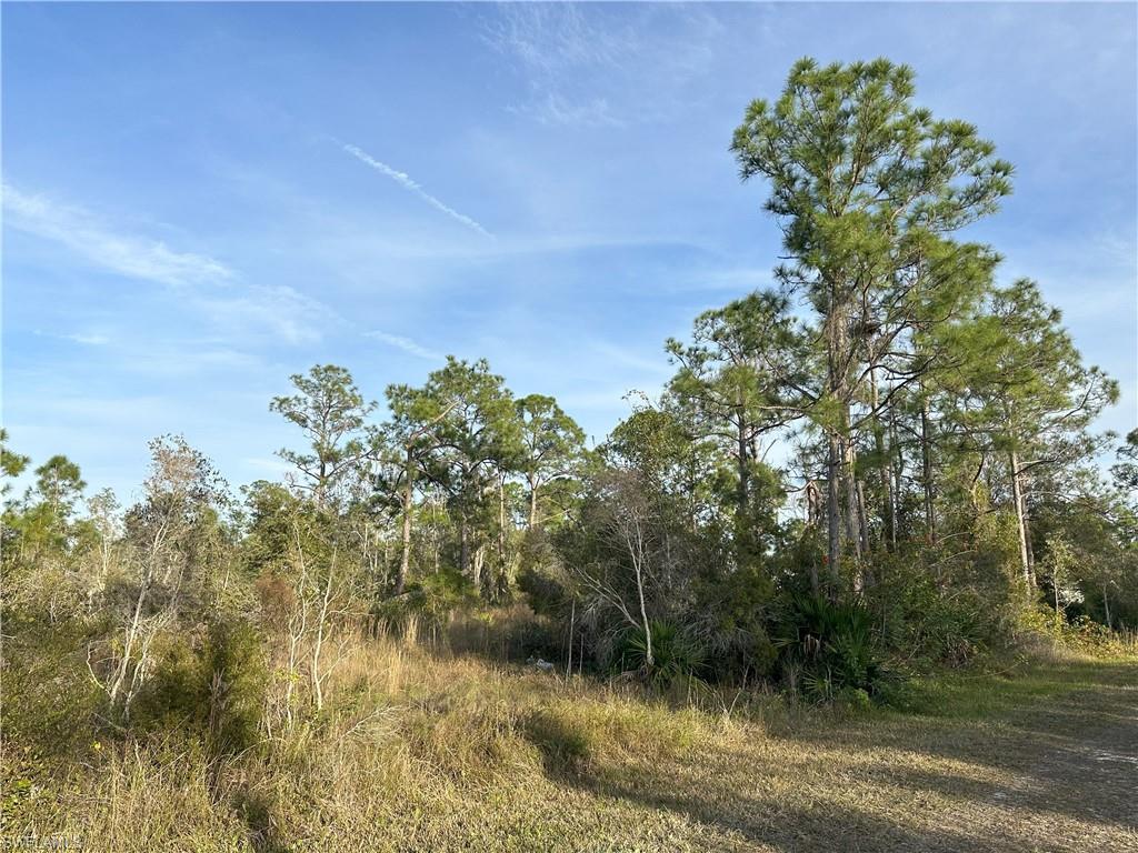 12135 Ludden Ct Property Photo 12