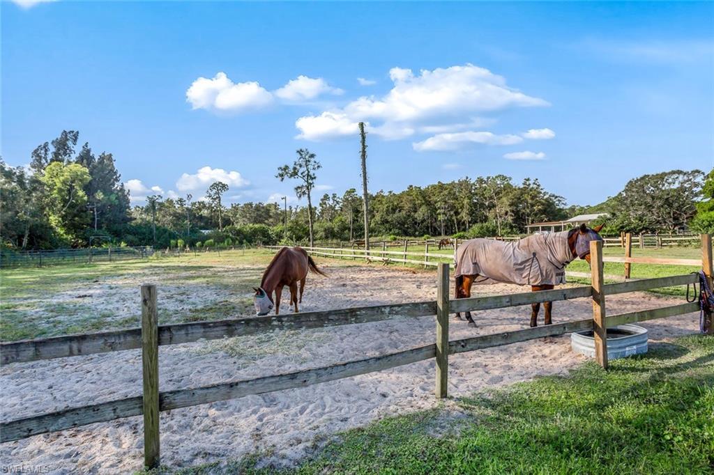 7200 Carousel Ln Property Photo 13
