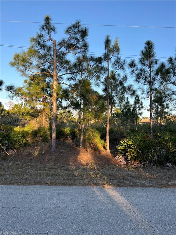 1408 Dixie Ave Property Photo 6