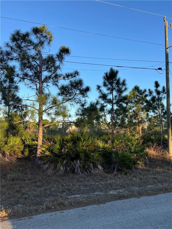1408 Dixie Ave Property Photo 7