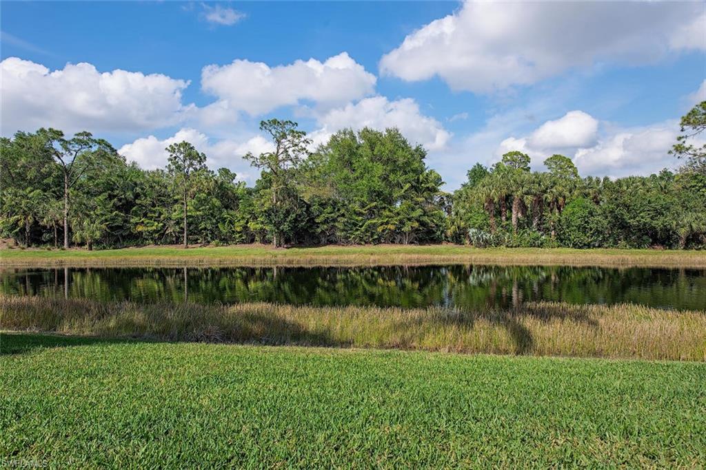 16631 Cortona Ln Property Photo 13