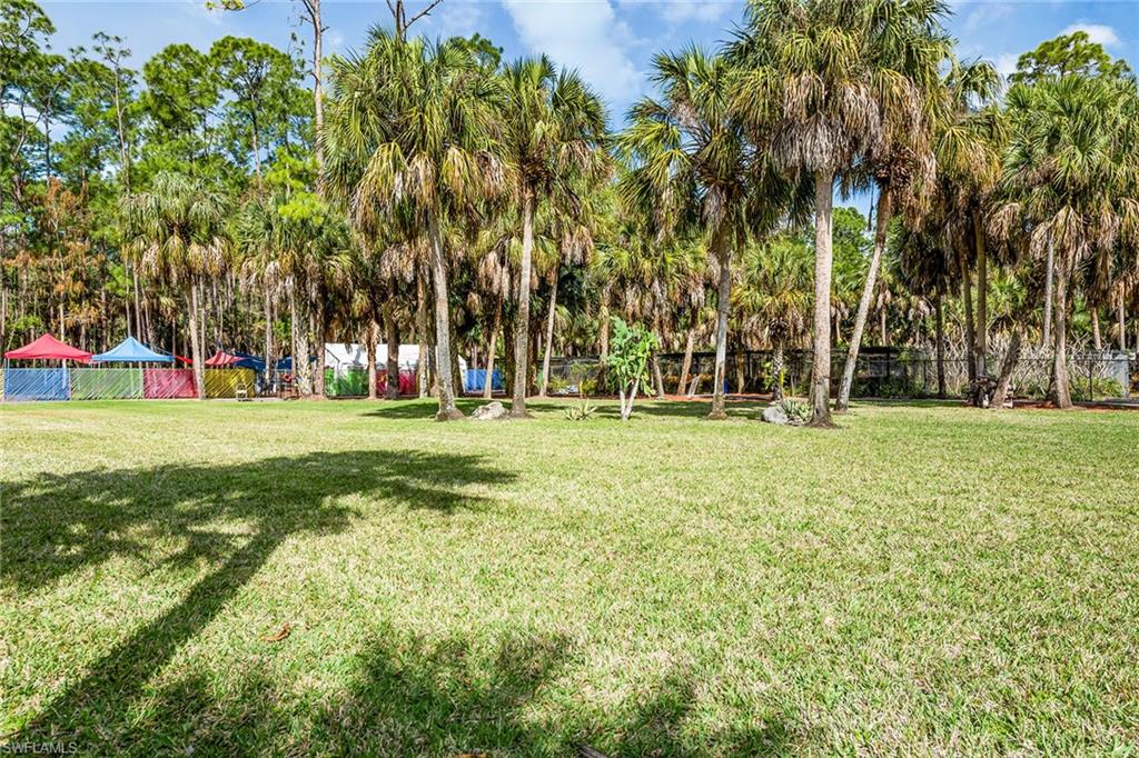 13965 Collier Blvd Property Photo 35