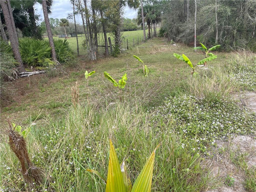 13434 Tangelo Ave Property Photo 6