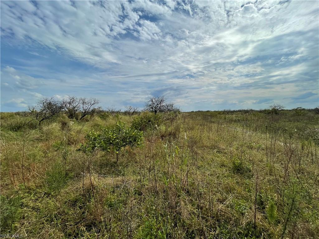 5th Rd Property Photo 4