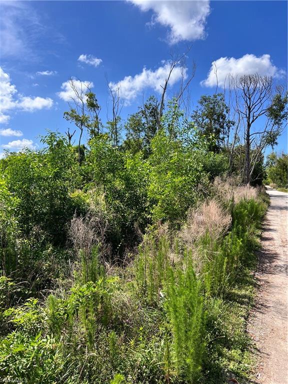 8756 Nome Ct Property Photo 1