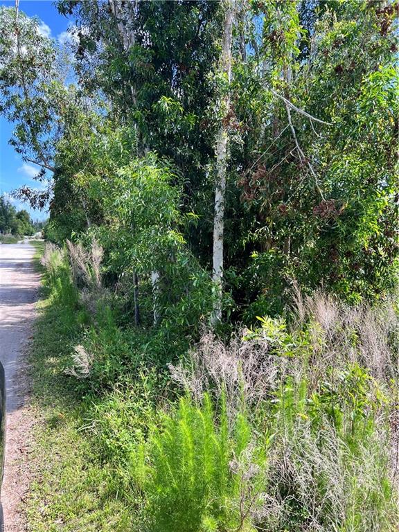 8756 Nome Ct Property Photo 2