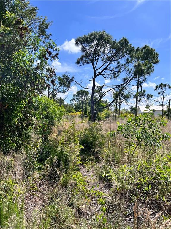 8756 Nome Ct Property Photo 3